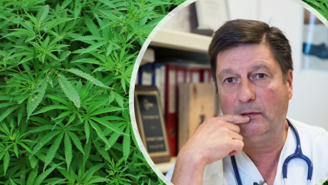 dominique-lossignol-cannabis-médecine